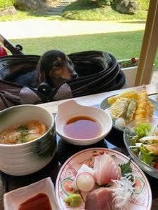 海神人の食卓 宴
