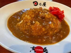 日乃屋カレー 新宿西口店
