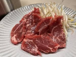 じんぎすかん 蒙古