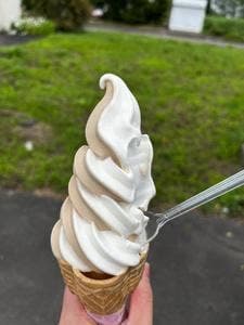 この町愛すの家 もーちゃん