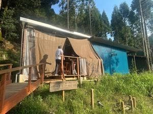 田舎の大鵬