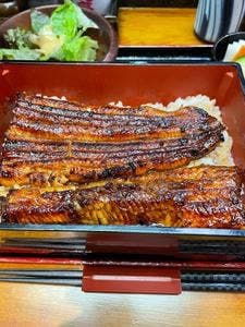 富士山の恵 うなぎ処 駒門ひろ田