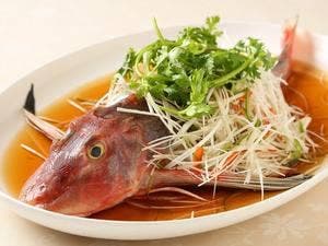 中国潮州海鮮料理 晁隆房