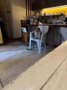 カミナリカフェ
