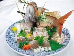 自然美庵 日本料理 悠善