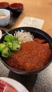 天然温泉 富山 剱の湯 御宿 野乃