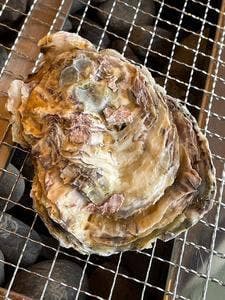 カキテラス波音