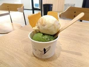 nojd ICE CREAM