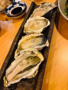 SAKABA 異国