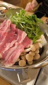 肉ト魚 大衆酒場 ひとめぼれ 京都店