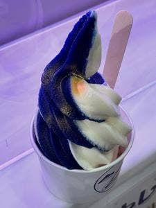 トレインパーク白山 売店