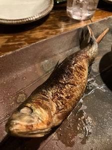 居酒屋 ちょーちょ