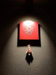 BAR D.S.
