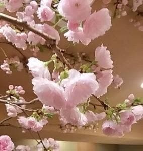 寿し 関口