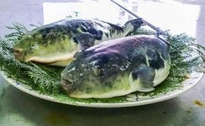 かに・ふぐ料理 むらかみ