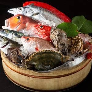 はんや かどのくーた