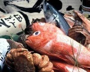 料理家 はづき