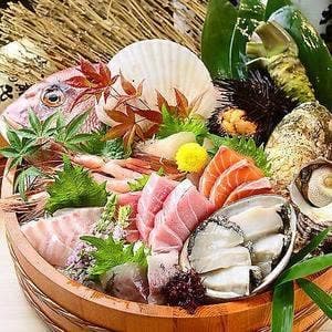海鮮居酒屋 大漁 名駅店