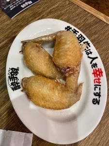 大衆居酒屋 酔っ手羽横丁 五反田店