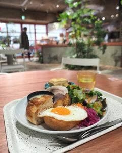 コンパニオンプランツ 福岡