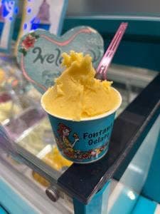 フォンタナ ジェラート