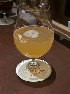 Contempus by Y.Y.G.Brewery