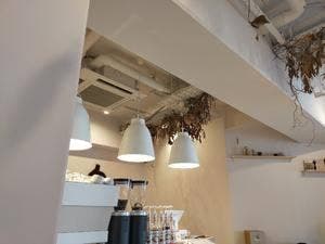 sh:rock coffee