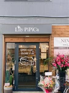 Lily PiPiCa