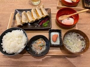肉汁餃子のダンダダン 秋葉原店