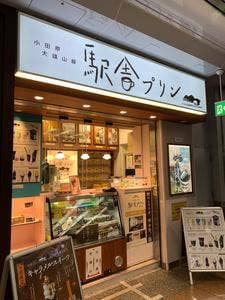 小田原大雄山線駅舎プリン