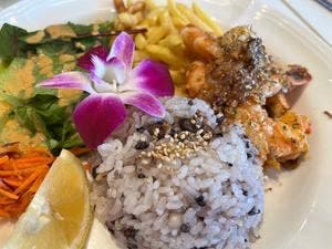 アイビーテラス