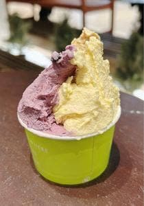 チェントットジェラート MIDORI長野店