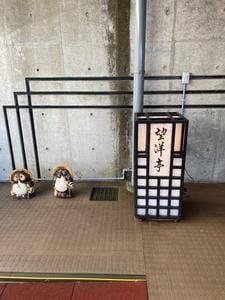 望洋亭