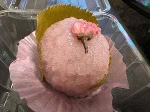 サザエ食品 福岡大丸店