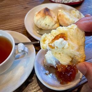 こども文庫 upon NASH