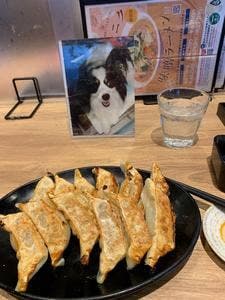 GYOZA OHSHO 烏丸御池店