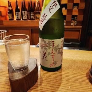 BAR 朔