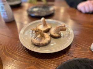 うみかぜテラス