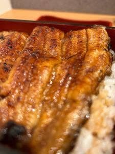 かぼちゃのたね