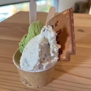狛犬GELATO