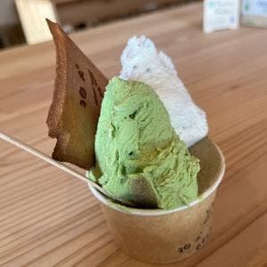 狛犬GELATO