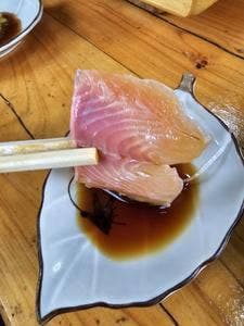 古戸中養魚場
