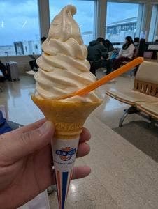 ANA FESTA 沖縄ゲート店