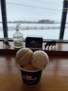 ドリームドルチェ