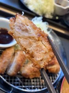 松のや / マイカリー食堂 行徳店