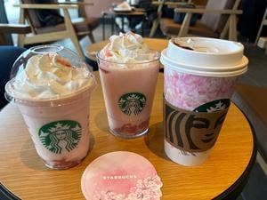 スターバックス コーヒー 小松打越店