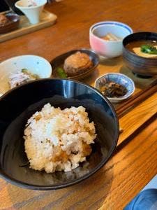 shojin 宗胡