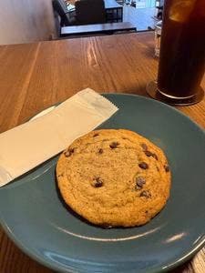 6 RACCOON CAFE SOCIETY