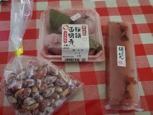 佐久間ダム湖 かわせみ