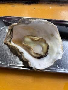 冨士丸